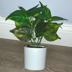 Faux Plant with Customizable Ceramic Holder